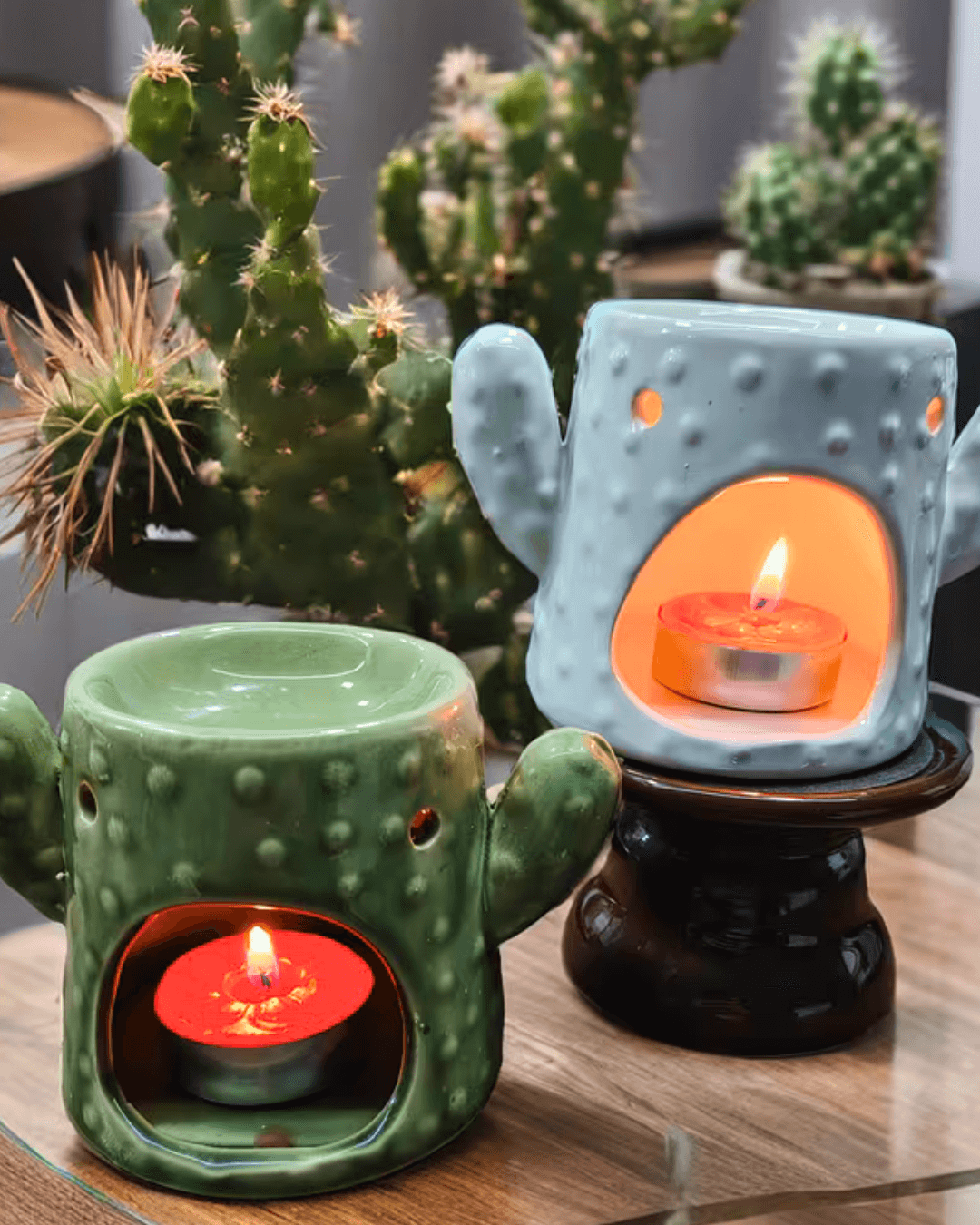Cactus Ceramic Aroma Diffuser