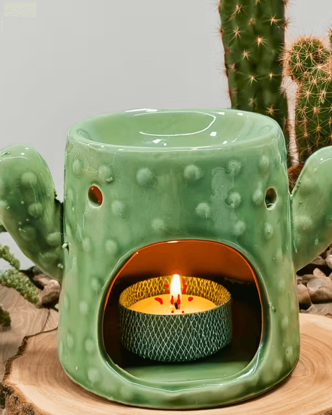 Cactus Ceramic Aroma Diffuser green