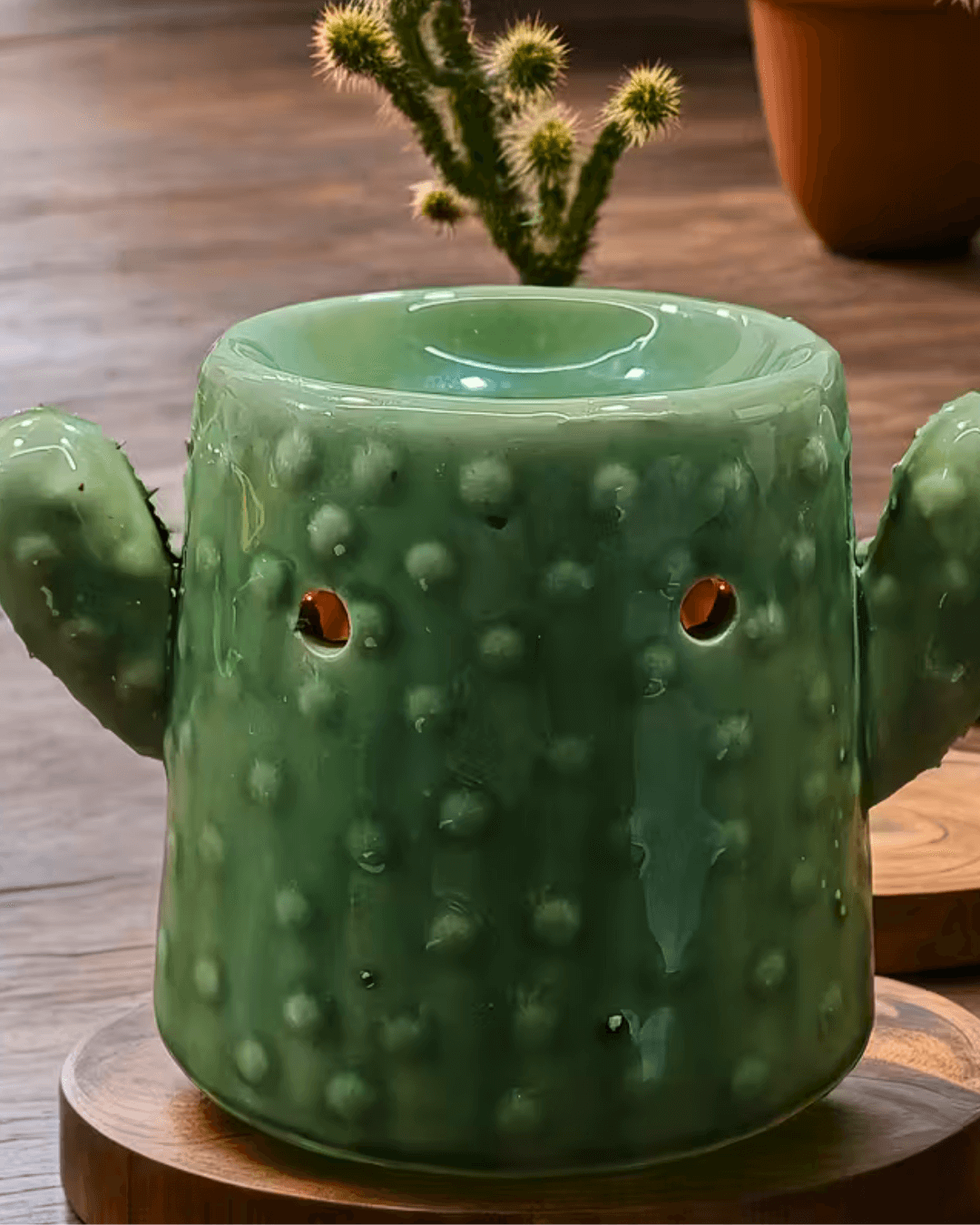 Cactus Ceramic Aroma Diffuser back